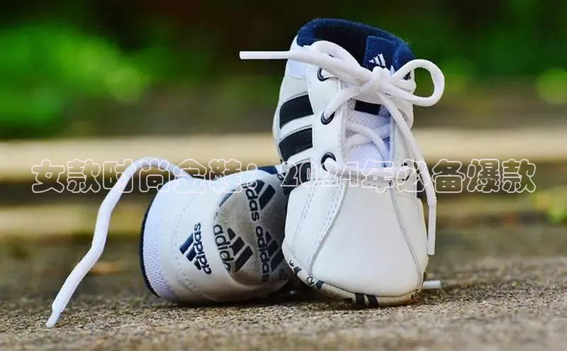 米兰体育彩票百度识图女款时尚金鞋：2024年必备爆款