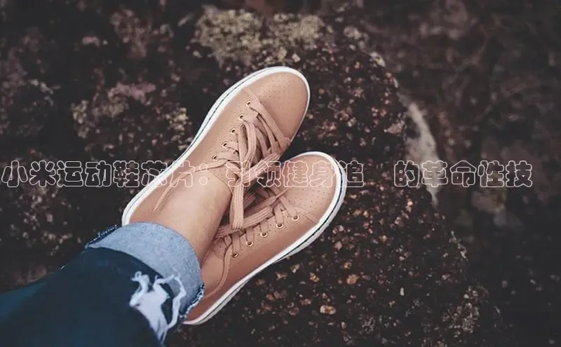 米兰app官网下载最新版百度教育小米运动鞋芯片：引领健身追蹤的革命性技術