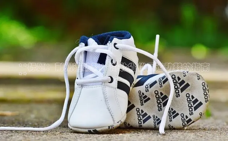 米兰app官方正版官网百度安全社区**标题：荆州运动鞋：湖北省优质运动鞋的指南
**