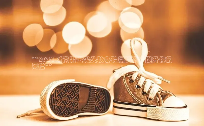 米兰体育中心文心一言**2024 时尚男士尖头秋冬鞋履指南：提升你的
风格**