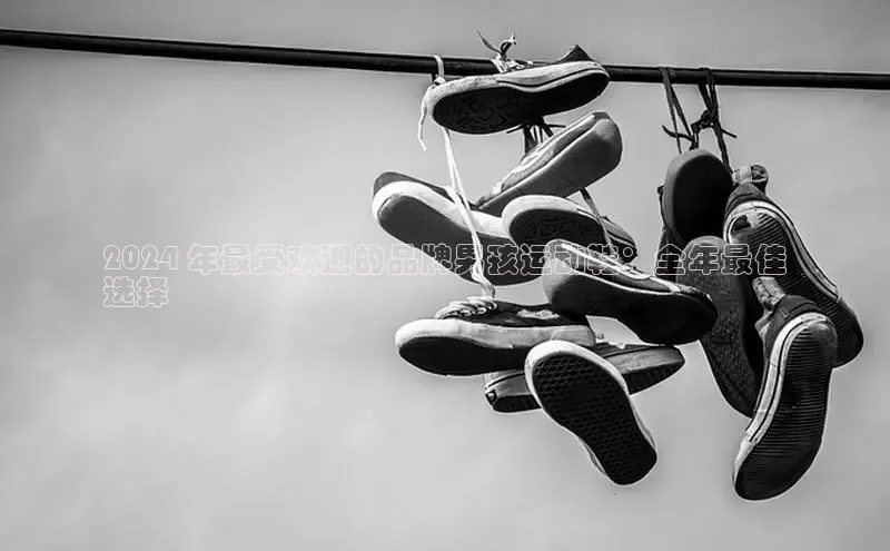 米兰app官网下载安装慧博云通2024 年最受欢迎的品牌男孩运动鞋：全年最佳
选择