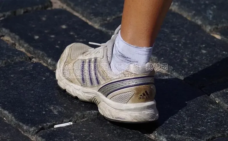 米兰在线网页版官方入口小度商城2024 年春晚张小斐时尚：其标志
性鞋履之谜 | 谷歌优化