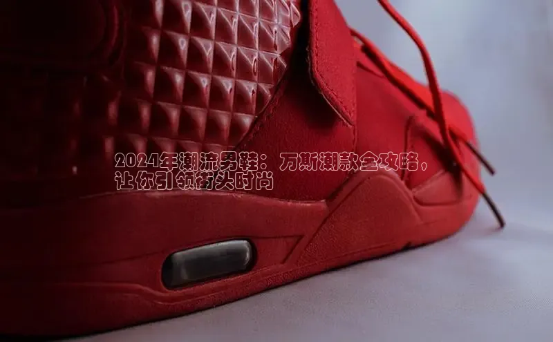 米兰体育平台赞助斯特拉斯堡W赛富乐斯2024年潮流男鞋：万斯潮款全攻略，
让你引领街头时尚
