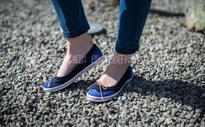 米兰app·体育登录入口百度技术学院2024 年收纳潮：最火的鞋子收纳袋终极
指南