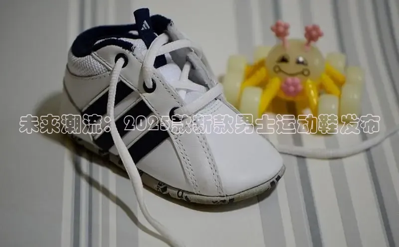 米兰体育app手机下载百度手机输入法未来潮流：2025款新款男士运动鞋发布