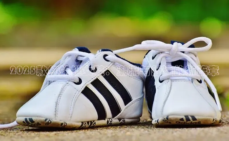 2025款红蜻蜓女鞋：潮流与舒适的新篇章