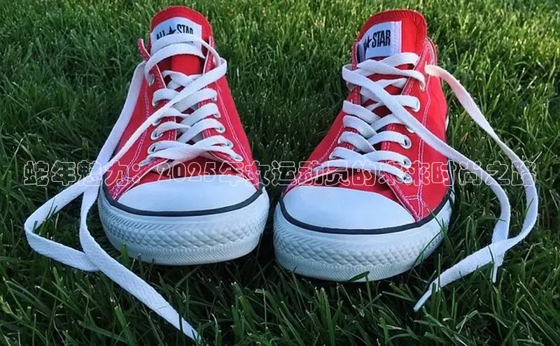 蛇年魅力：2025年女运动员的未来时尚之路