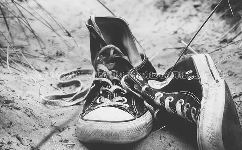 引领潮流的2025新款：QWEN为您揭晓回力运动鞋男鞋爆品设计趋势